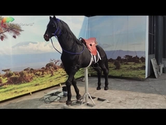 Fun Park Rideable Animatronic Horse Animatronic Animals Snow Proof