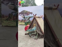 Dinosaurus Animatronik Velociraptor 3m