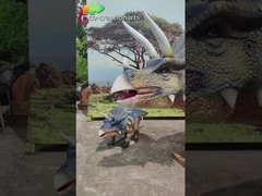 Realistis Triceratops Trio Animatronic: Roaring Group Dengan Gerak Dinamis & Tampilan Prasejarah