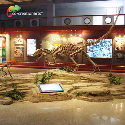 Sunproof Resin Dinosaurus Skeleton Gasosaurus Skull