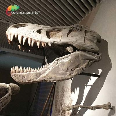 CE Realistis Artistik Dinosaurus Skeleton Skeleton Replica T Rex Skeleton Head High simulasi