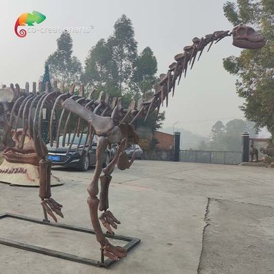 CE Jurassic Park Dinosaurus Skeleton Skeleton Replica Shunosaurus Skeleton tahan cuaca