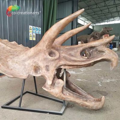 Penolak air ISO Dinosaur Skeleton Replica Fossil Life Size Triceratops Skull