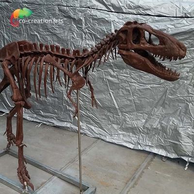 Beli Kustomisasi yang dipersonalisasi Replika Tulang Dinosaurus Replika Tengkorak T Rex online manufacture