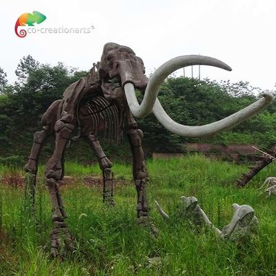 tahan cuaca Ukuran Nyata Replika Kerangka Hewan Model Mammuthus