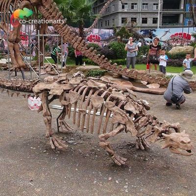 Dekorasi Taman Replika Kerangka Dinosaurus Ukuran Hidup Sunproof