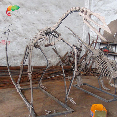 Pameran Museum Kerangka Resin Dinosaurus Kerangka Quetzalcoatlus Dapat Disesuaikan