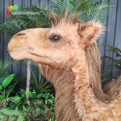 Hewan Animatronik Realistis Buatan Ukuran Disesuaikan Unta Dikendalikan dari Jarak Jauh