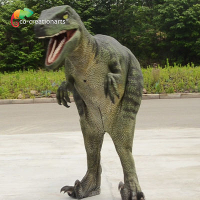 1.7m Animatronik Dinosaurus Velociraptor Kostum Realistis Buat Adegan Jurassic spektakuler