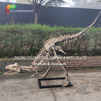 Dekorasi luar ruangan yang sangat rinci Resin Skeleton Dinosaurus Replika Skeleton T-Rex