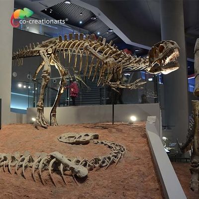 Harga yang bagus landscape decoration Outdoor Yangchuanosaurus Skeleton Dinosaur Replica Fossil on line