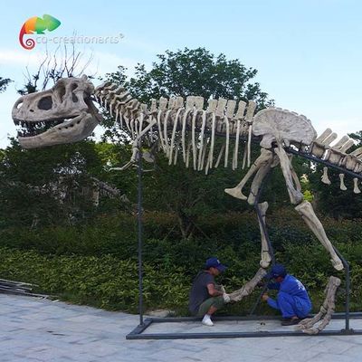 Harga yang bagus panjang 15m Kualitas Museum Replika Dinosaurus T Rex Skull penolak air on line