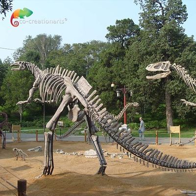 Harga yang bagus Fibreglass Ukuran Hidup Replika Tengkorak Dinosaurus Kerangka Hadrosaurus anti penuaan on line