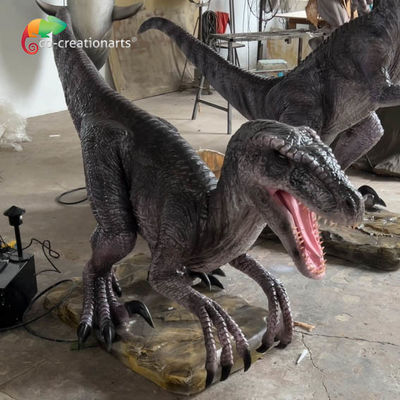 Harga yang bagus Taman Hiburan Ukuran Hidup Animatronik Dinosaurus Animatronik Velociraptor Dengan Gerak Dan Suara Realistis on line